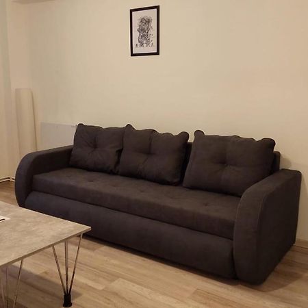 Youth Central Apartment Târgu-Mureş المظهر الخارجي الصورة