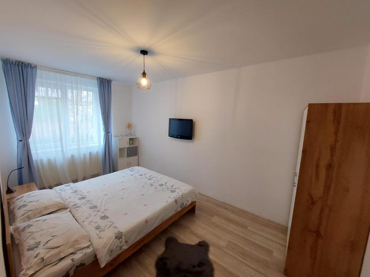 Youth Central Apartment Târgu-Mureş المظهر الخارجي الصورة