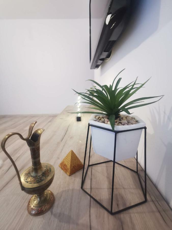 Youth Central Apartment Târgu-Mureş المظهر الخارجي الصورة